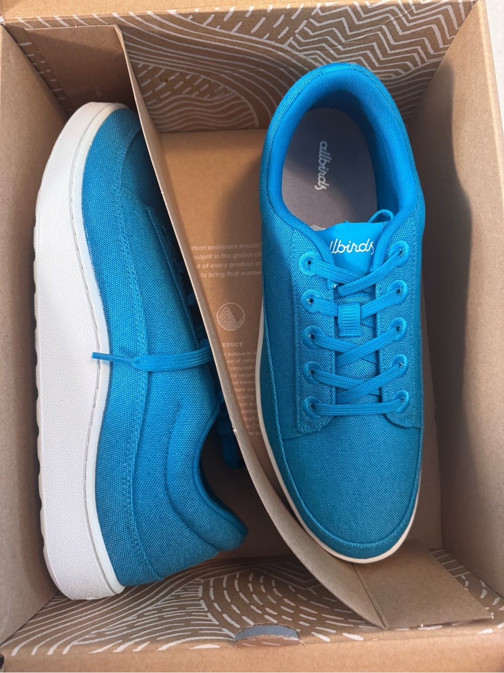 Allbirds Teal Canvas Golf Sneakers
